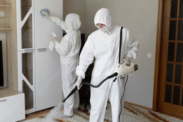 Best Post-Flood Mold Remediation in Columbia City, IN
